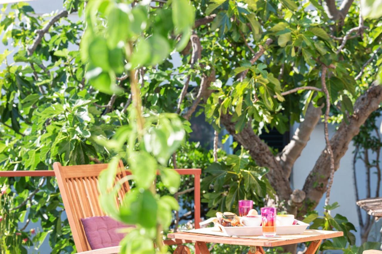Apartments Stella Mariela Sibenik Ngoại thất bức ảnh